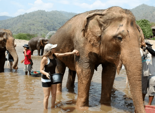 ¿Se puede emigrar mediante un voluntariado y trabajar remoto?