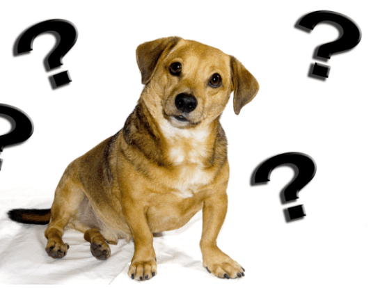 Incorporar una empresa en USA y trabajar para ella: guía completa